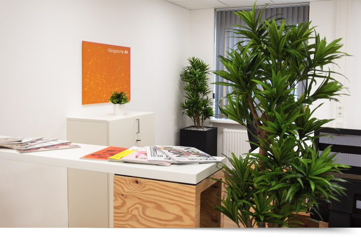 Hallo Eferding Werbeagentur